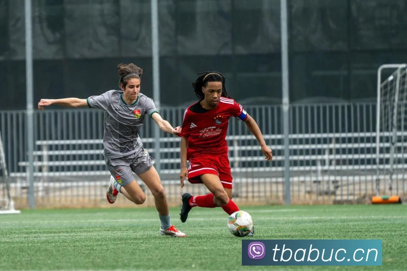 开云网页版在线登录appAPP 封面图